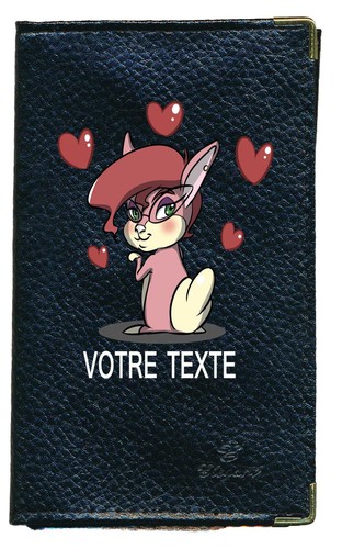 Etui carte grise - , en