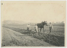 Plaine d'Annemasse (Haute-Savoie), route de Ville-la-Grand. Charrue. Monde rural
