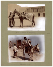 Persia, Cheval de l'Emir de Samarkand et promenade à dos d'âne  Vintag