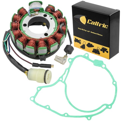 Stator and gasket - stator, for