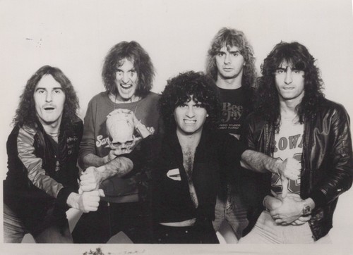Photographie krokus band - photographie, de