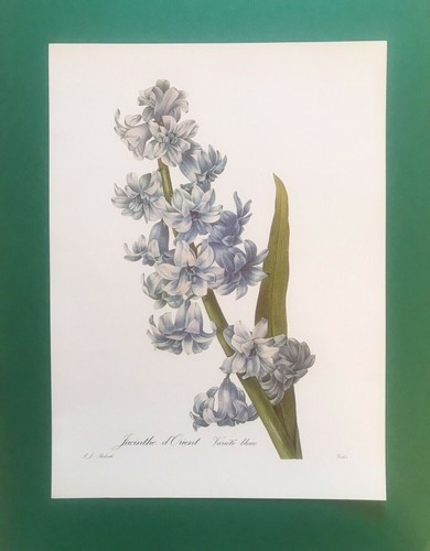 Gravure pierre joseph - de,