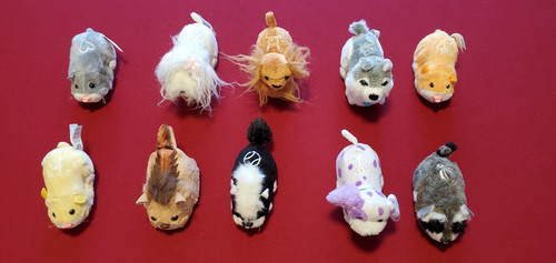 Zhu pets - zhu, lot