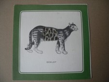 Ancienne carte publicitaire