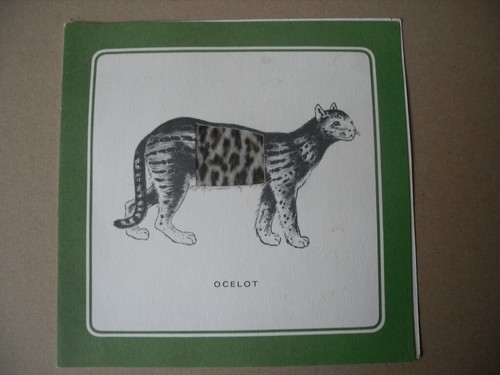 Ancienne carte publicitaire