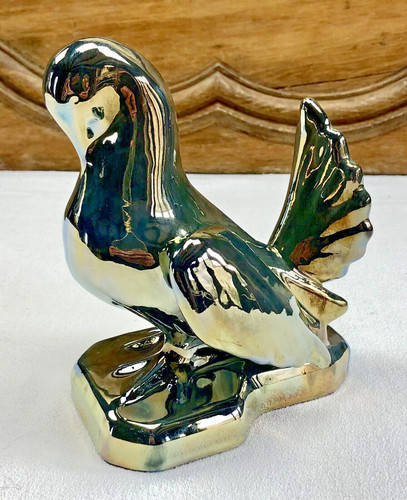 Ancien pigeon colombe serre - ancien,