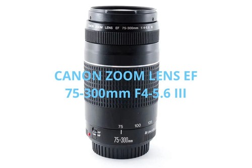 Objectif zoom canon - zoom,