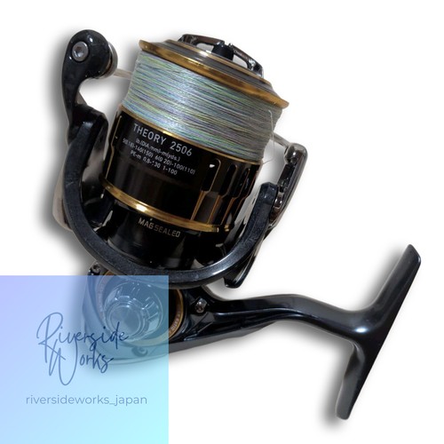 Daiwa theory 2506 - daiwa, 17