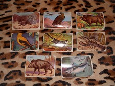 LOT de 8 IMAGES BISCOTTES MOREAU Tours