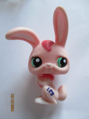 Petshop lapin garenne - petshop, #1714