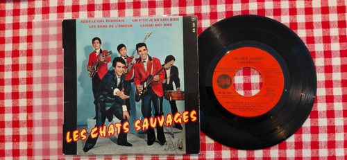Les chats sauvages sous - sauvages,