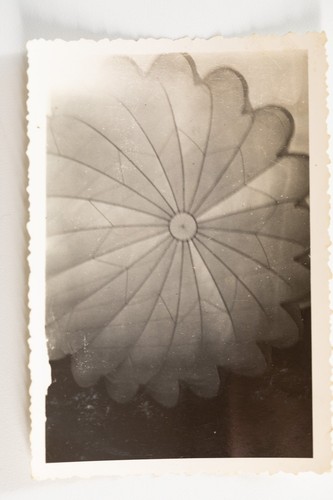 Photo snap shot france - shot,
