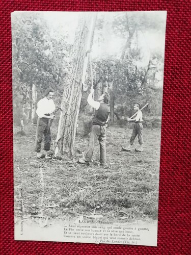 Les landes résiniers le - résiniers,