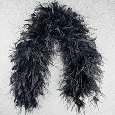 Lafayette NY 148 Black Feather