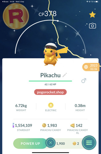 Shiny pikachu brendan - shiny, hat