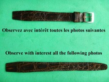 12 mm CROCODILE VÉRITABLE