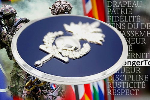 Eurogendfor fge insigne de - -,