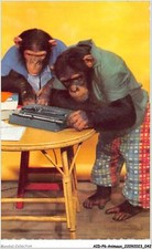 AIDP6-ANIMAUX-0498 - singes