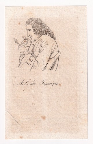 Portrait xixe antoine - portrait,
