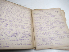 LOUIS LALLEMAND Manuscrit Autographe JUGEMENTS & PENSEES 1930 PEINTRE VLAMINCK