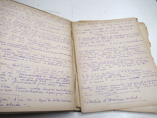 Louis lallemand manuscrit - louis,
