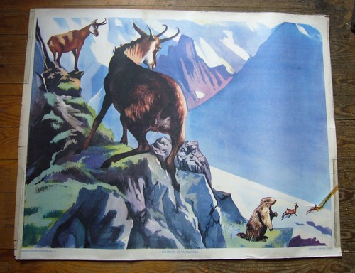 Ancien tableau affiche - ancien, /