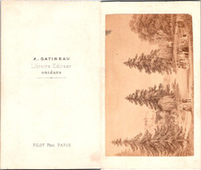 Gatineau, Orléans, paysage