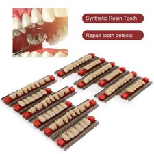 Dentaire complète dentition