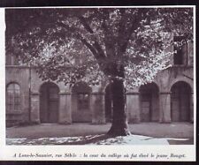 1949  --  LONS LE SAUNIER   RUE SEBILE  LA COUR DU COLLEGE   W098