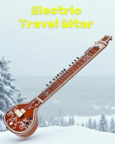 Professional sitar instrument - sitar,