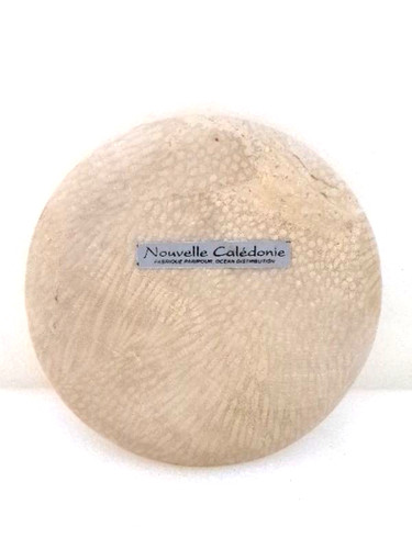Pierre plate fossile - , –