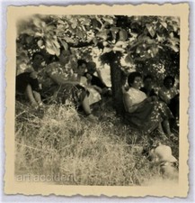 Snapshot - ANOTHER DAY UNDER THE SUN Original Vintage Found Photo 1958 Abstract