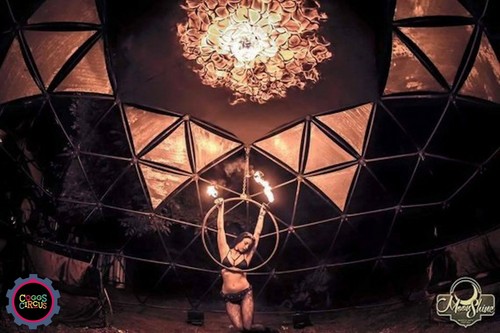 Pro stainless circus aerial - pro,
