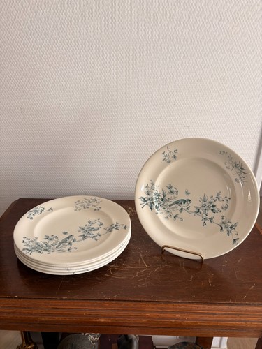 Lot assiette plates - 6,