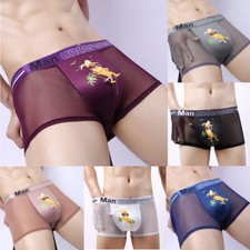 Boîte De Boxer De Soie