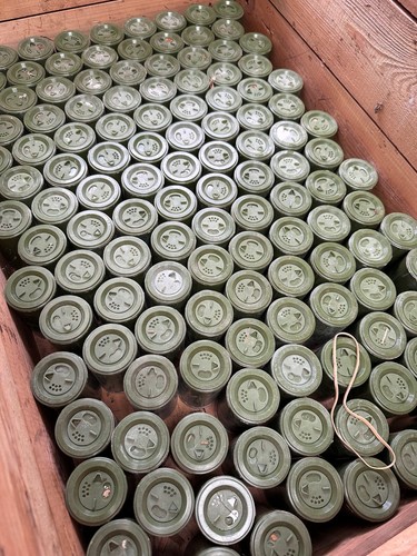 Original armée américaine - armée,