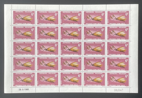 Madagascar 1966 427 planche - 1966,