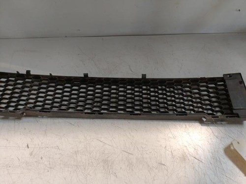 Grille pare choc - pare, 2