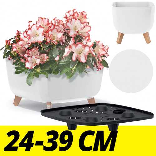 Pot fleurs avec - fleurs, en