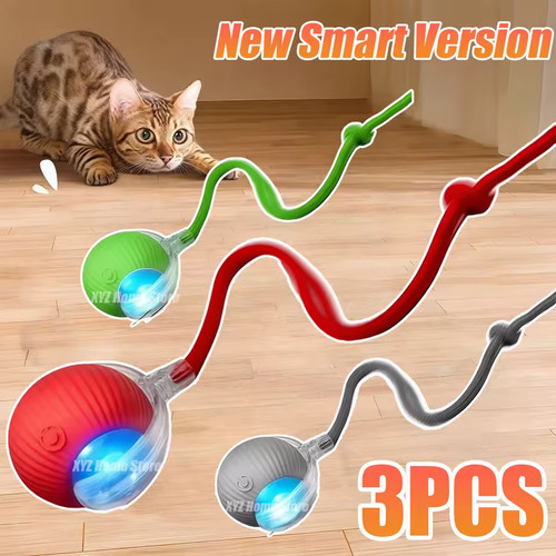 Jouet interactif pour - , chat