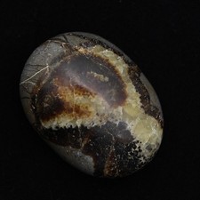 Galet en septaria 95gr 57mm