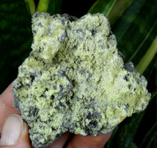 Rare Soufre Natif sur Matrice Auvergne 6x5.5cm France minéral collection pierre