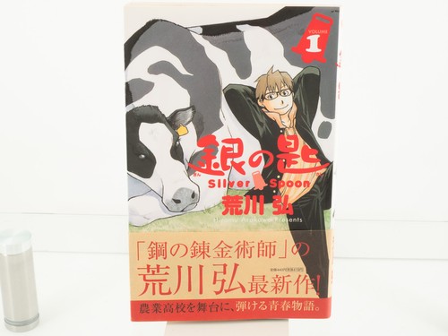 Silver spoon vol - silver, print