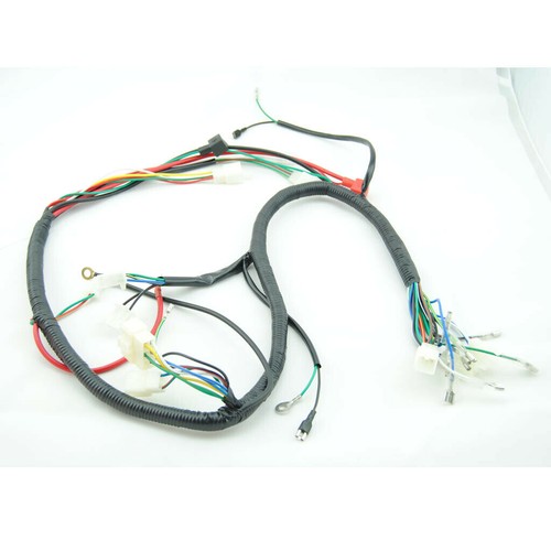Quad wiring harness 200 - wiring, 250