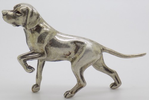 Chien pointer anglais - chien,