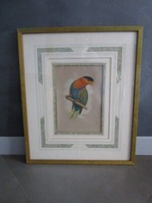 Gravure d'oiseau ancienne