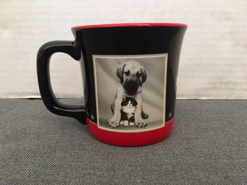 2006 keith kimberly puppy - kimberly,