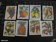 LOT D’ANCIENNES IMAGES BON