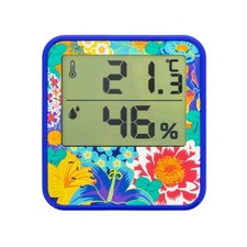 Thermomètre digital pour la