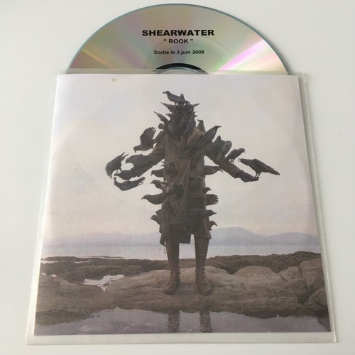 Shearwater rook rare - -,